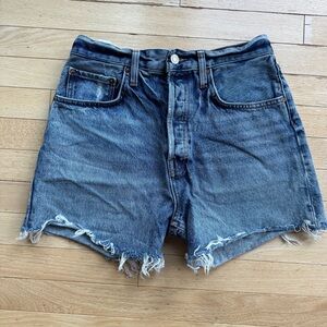 Agolde Riley Short in Outsider